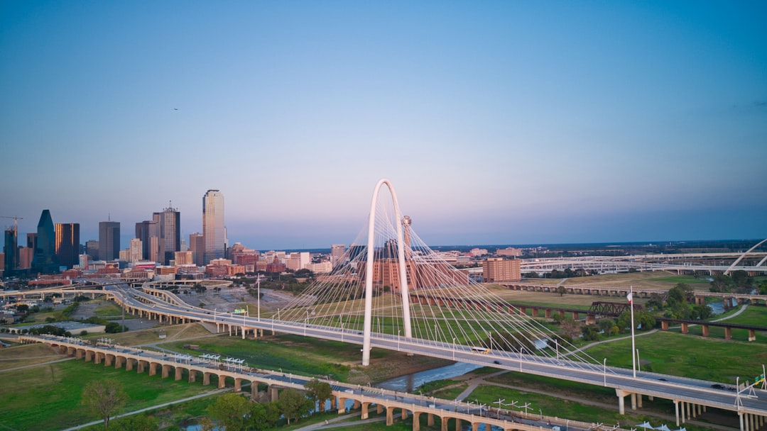 You are currently viewing Co-Managed IT Dallas: Services and Provider Comparison